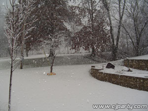 snow1dec19.jpg